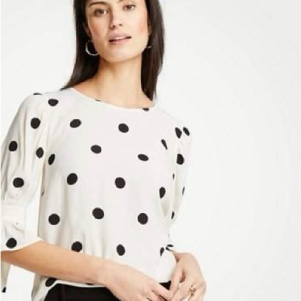 NWT / Loft  Soft Polka Dot Top Size Xl